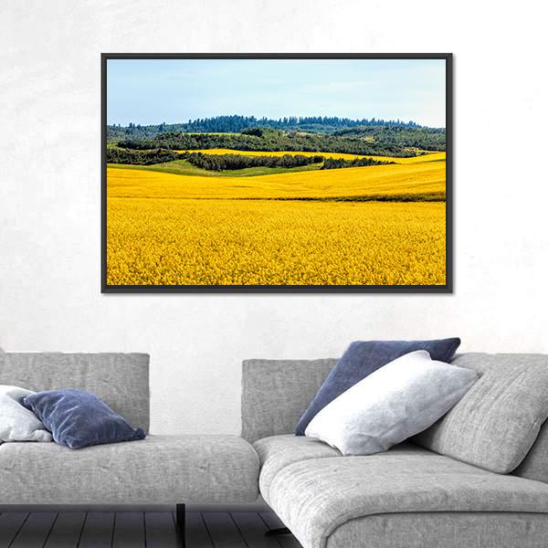 Yellow Mustard Fields Canvas Wall Art-3 Horizontal-Gallery Wrap-25" x 16"-Tiaracle