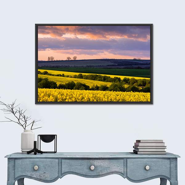 Yellow Rape Field On Blue Sky Canvas Wall Art-1 Piece-Floating Frame-24" x 16"-Tiaracle