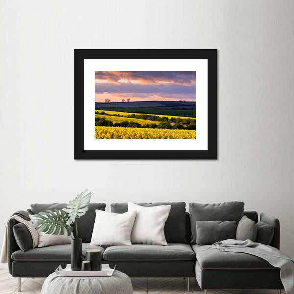 Yellow Rape Field On Blue Sky Canvas Wall Art-3 Horizontal-Gallery Wrap-25" x 16"-Tiaracle