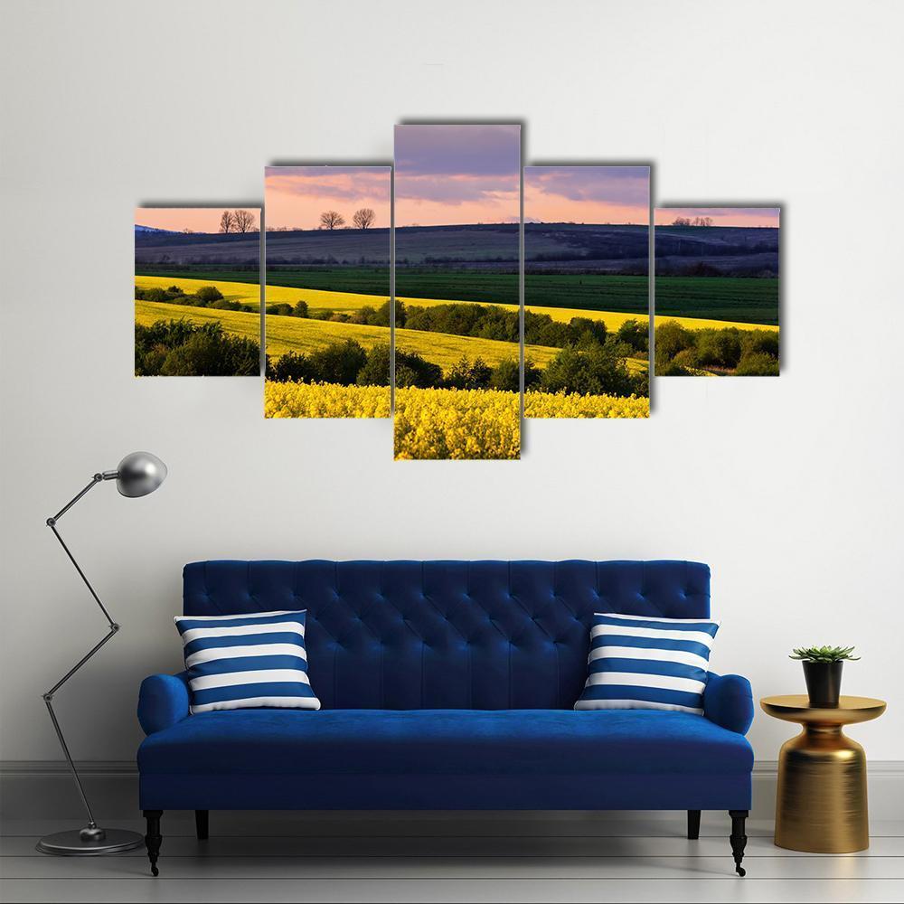 Yellow Rape Field On Blue Sky Canvas Wall Art-5 Star-Gallery Wrap-62" x 32"-Tiaracle