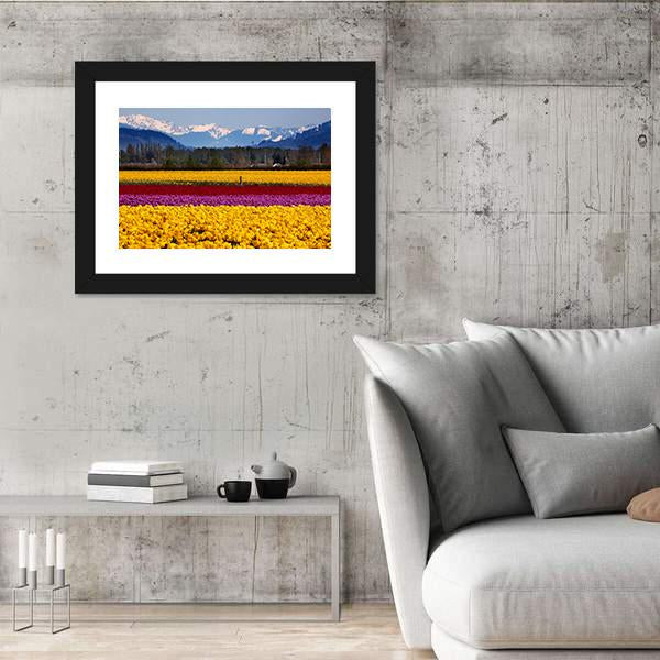 Yellow Red Purple Tulips Flowers Daffodils Canvas Wall Art-5 Horizontal-Gallery Wrap-22" x 12"-Tiaracle