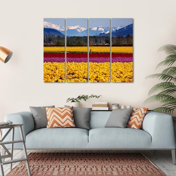 Yellow Red Purple Tulips Flowers Daffodils Canvas Wall Art-4 Horizontal-Gallery Wrap-34" x 24"-Tiaracle