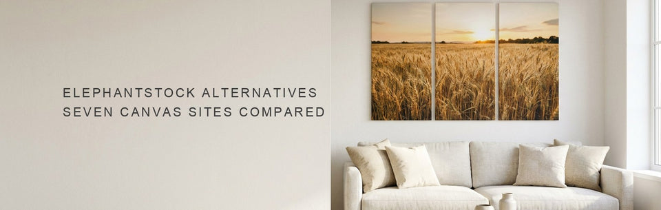 ElephantStock Alternatives: Seven Canvas Sites Compared