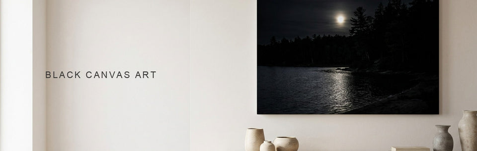 Black Canvas Art: Night, Silhouette or Space