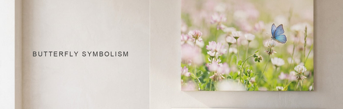 Butterfly symbolism in art, a butterfly canvas above a console table