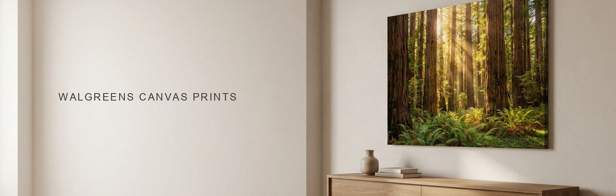 Walgreens canvas prints compared, a sunlit redwood forest on a large canvas above an oak console in a calm neutral living room