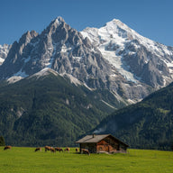 Alps Wall Art canvas print, the Alps, a wall of snow peaks above a green meadow with a wooden chalet and grazing cattle