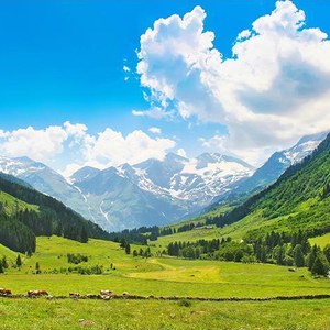 Alps Wall Art
