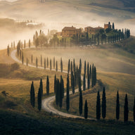Tuscany Wall Art canvas print, a cypress-lined road winding over rolling golden hills to a stone farmhouse in dawn mist
