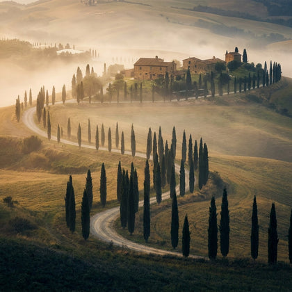 Tuscany Wall Art canvas print, a cypress-lined road winding over rolling golden hills to a stone farmhouse in dawn mist