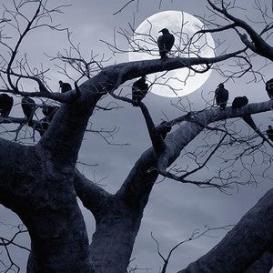 Halloween Canvas Art