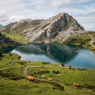 Lake Enol Wall Art canvas print, Lake Enol in the Picos de Europa of Spain