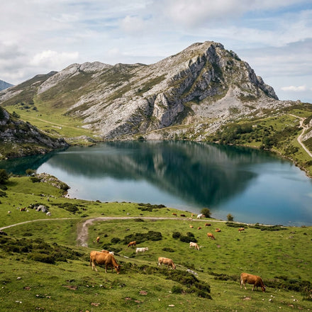 Lake Enol Wall Art