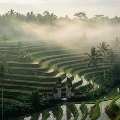 Bali Wall Art canvas print, terraced emerald rice paddies stepping down a valley with palms