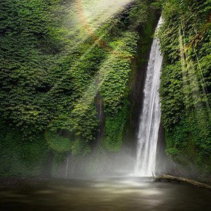 Bali Wall Art