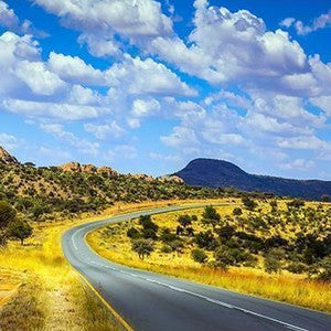 South Africa Wall Art