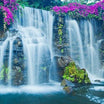 Hawaii Wall Art