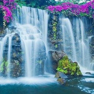 Hawaii Wall Art