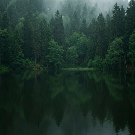 Lake Karagol Black Wall Art