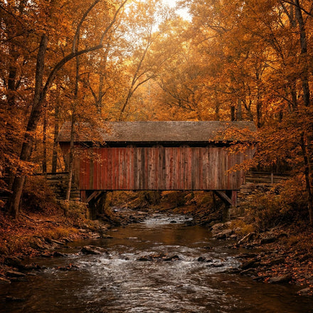 Ohio Wall Art