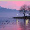 Lake Geneva Wall Art