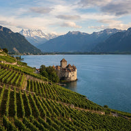 Lake Geneva Wall Art canvas print, Lake Geneva in Switzerland, terraced vineyards stepping down to blue water