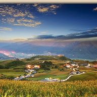 Lioushidan Mountain Daylilies at Dawn