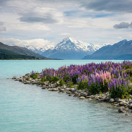 Lake Pukaki Wall Art