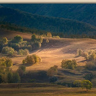 Bashang Plateau Grasslands Inner Mongolia