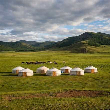 Mongolia Wall Art