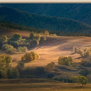 Mongolia Wall Art