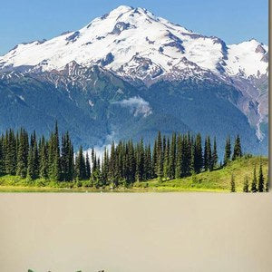 Washington State Wall Art