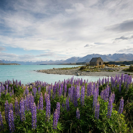 Lake Tekapo Wall Art