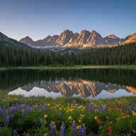 Idaho Wall Art canvas print, the jagged Sawtooth range above an alpine lake and pine forest with wildflowers