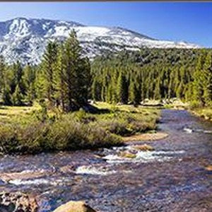 Yosemite National Park Wall Art