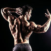 Fitness Wall Art