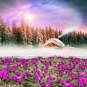 Winter Season Wall Art