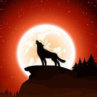 Wolf Wall Art