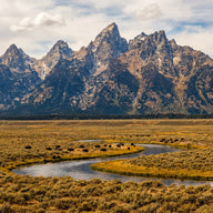 Wyoming Wall Art canvas print, the jagged Teton range rising straight from a sage flat with a winding river and bison below