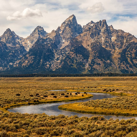 Wyoming Wall Art