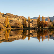 Lake Hayes Wall Art canvas print, Lake Hayes in Otago New Zealand, a perfectly still lake mirroring golden autumn poplars