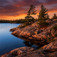 Ontario Wall Art canvas print, windswept pines on granite shield rock above a still blue lake at sunset