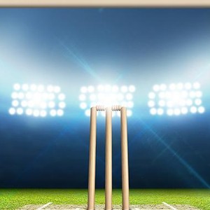 Cricket Wall Art