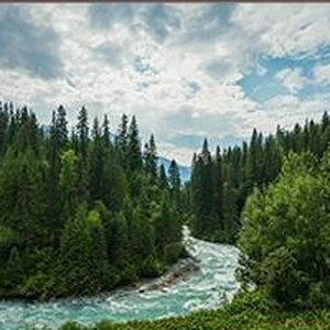 British Columbia Wall Art