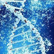 Dna Molecule in Water Vertical