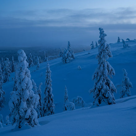 Finland Wall Art
