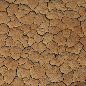 Brown Color Art Prints