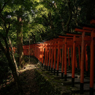 Kyoto Wall Art canvas print, a corridor of vermilion torii gates on a wooded hillside path