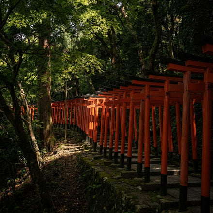 Kyoto Wall Art