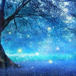 Enchanted Wall Art